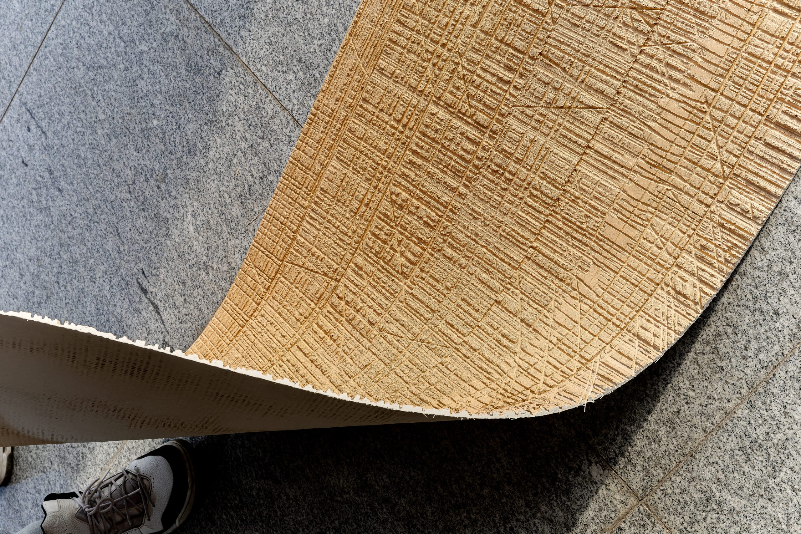 5A9A6256-CR3_DxO_DeepPRIME